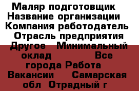 Маляр-подготовщик › Название организации ­ Компания-работодатель › Отрасль предприятия ­ Другое › Минимальный оклад ­ 20 000 - Все города Работа » Вакансии   . Самарская обл.,Отрадный г.